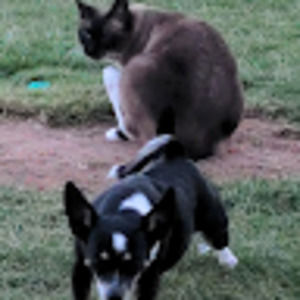 Meet your Posher, Veronica